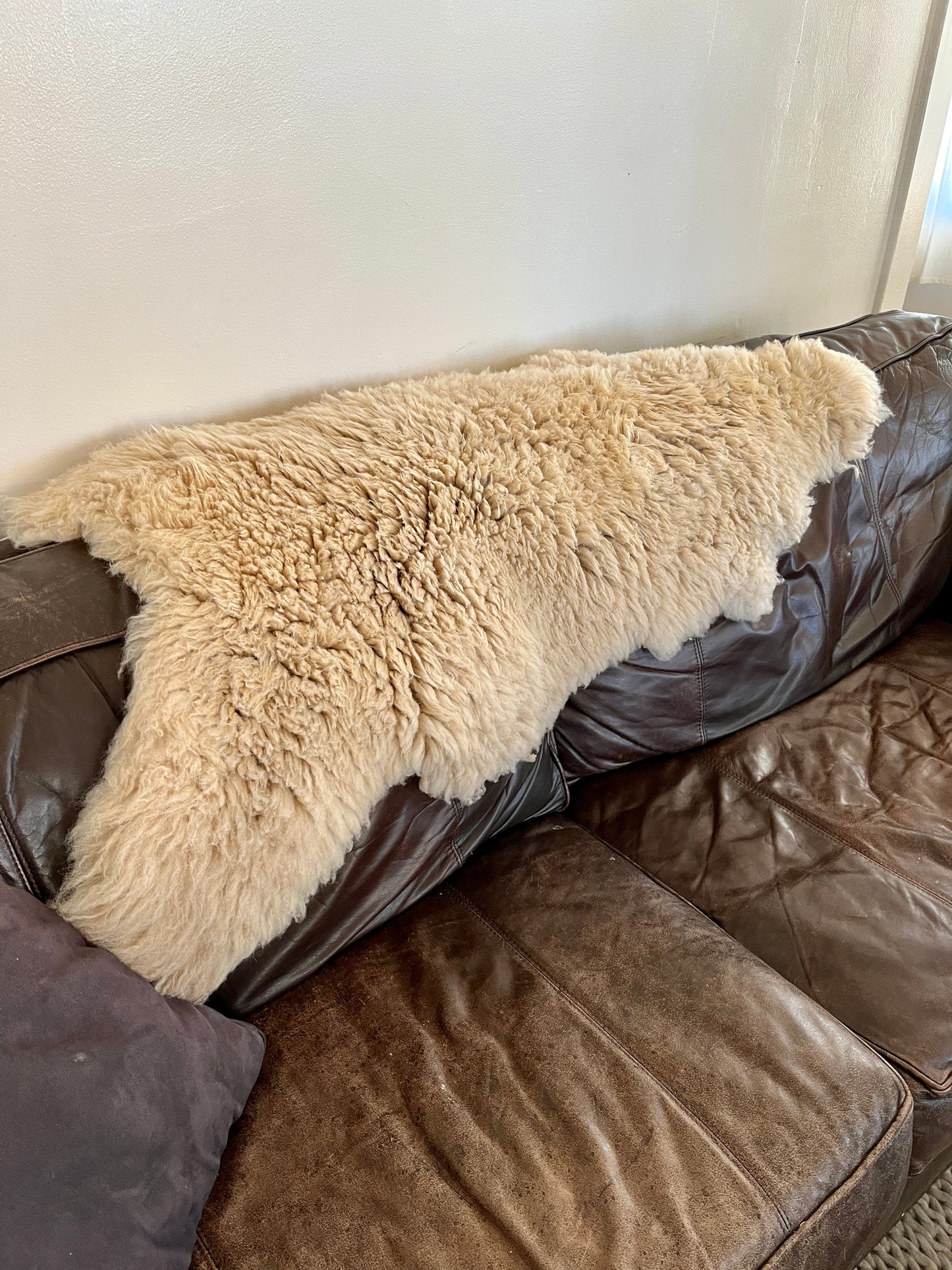 Hide 102